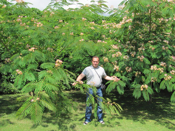 Марат Сафиуллин