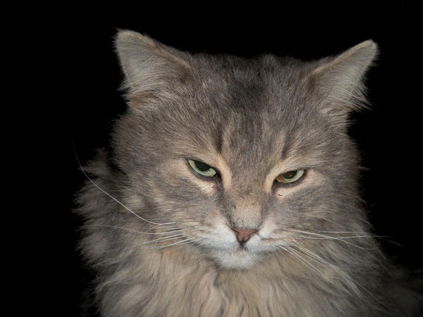 Валентин Грищенко