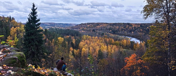 Сергей, Муравей - Ant!