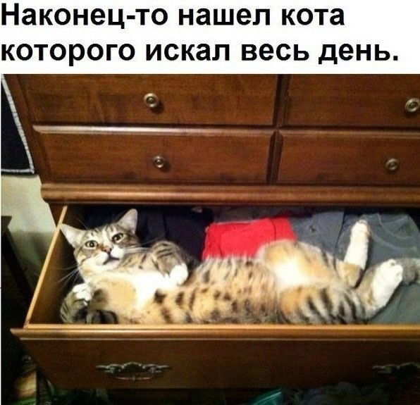 Александр Канекеев