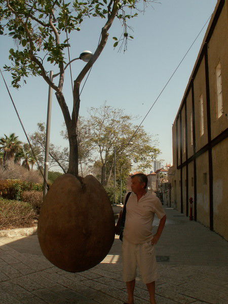 Владимир Холодилов
