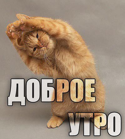 Ольга Солдатенко