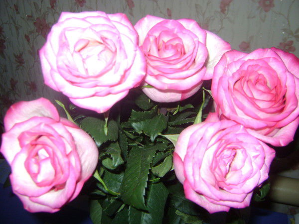 Любовь Фаткуллина