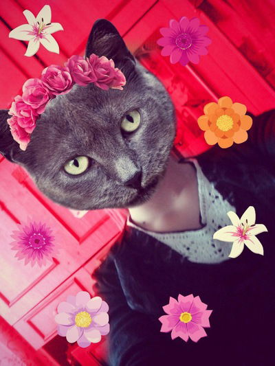 Оксана Колоскова