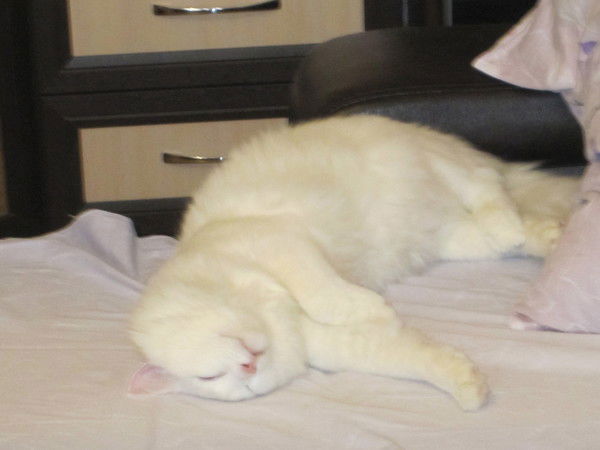 Виктория Дынина