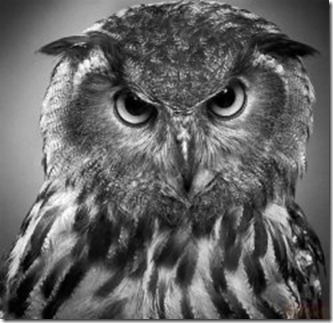 Ирина Янзина