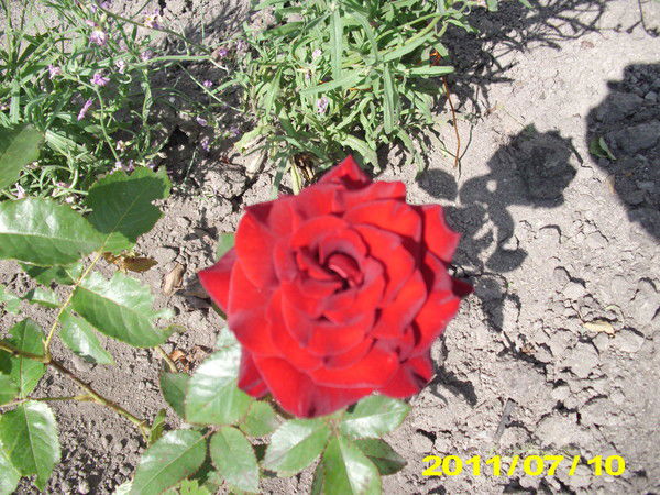 Марина Бочко