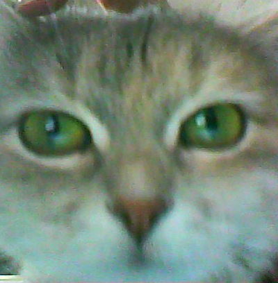 Саша Пахомов