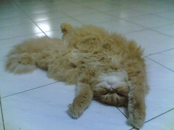 Анна Нагрий