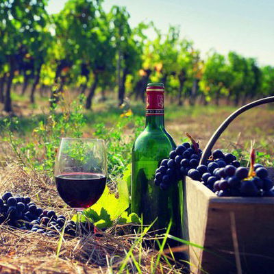 Сара Абрикосова