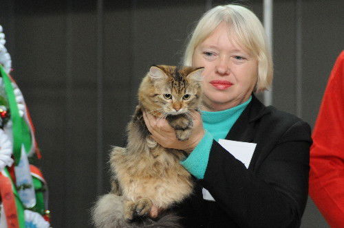 Людмила Климова