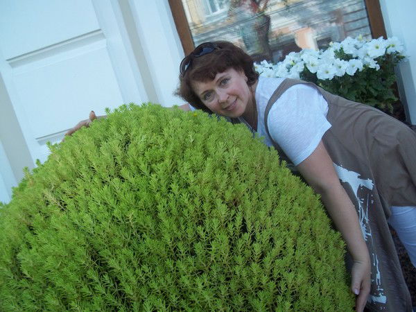 Светлана Аликова