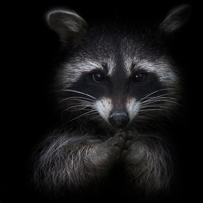 Андрей Неведомый