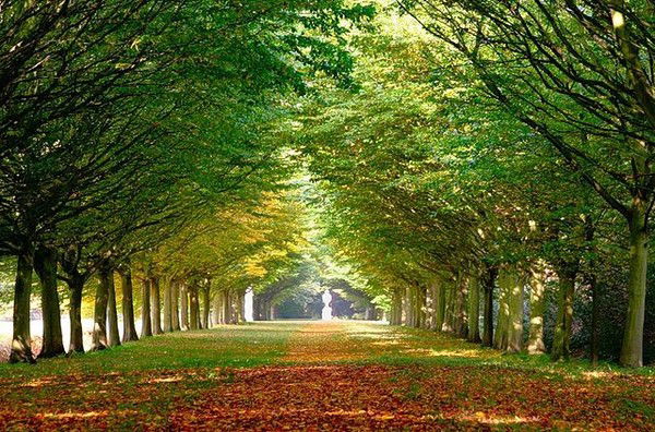 Ирина Зозина