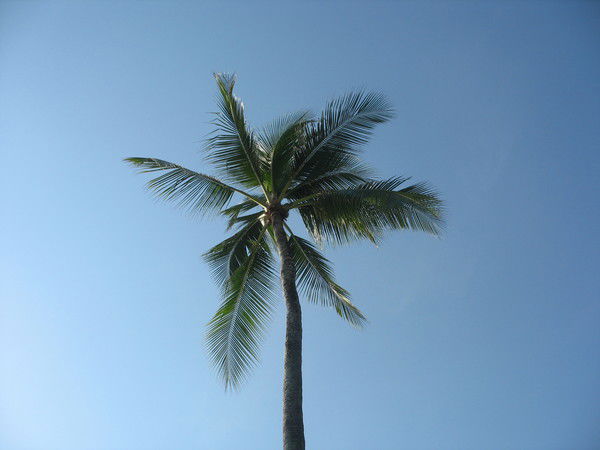 Светлана Сундукова