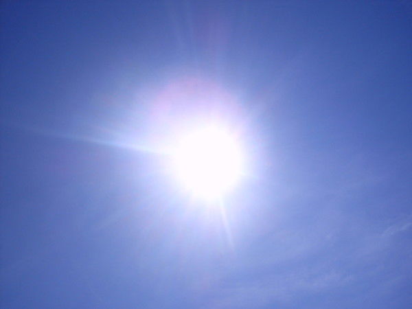 Светлана Белякова