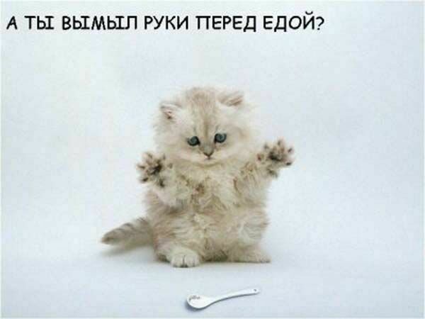 Федор Mr.rattyninja