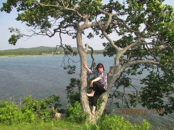 Елена Барышникова