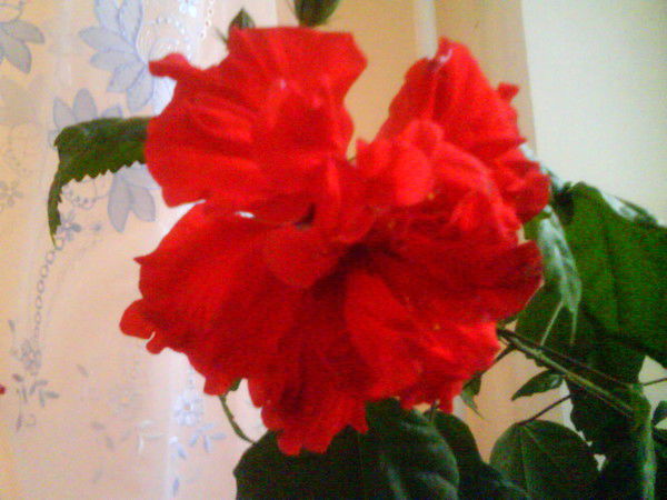 Гульмира Уразбаева