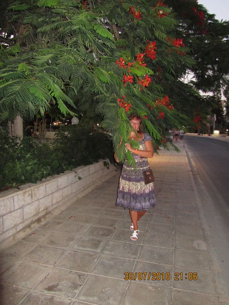 Елена Пасечник