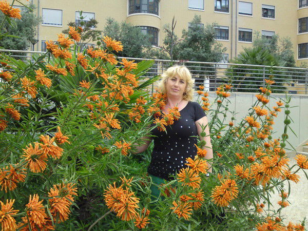 Светлана Шарова