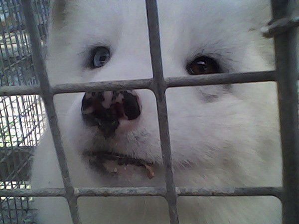 Юля Копылова