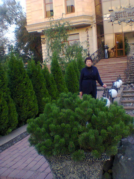 Гульнар Абишева