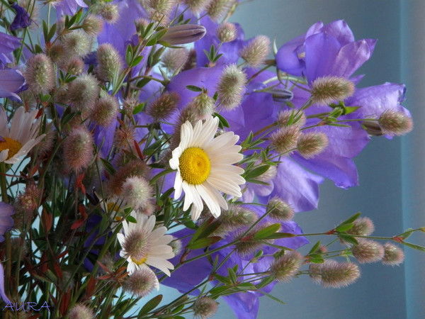 Наталья Аринина