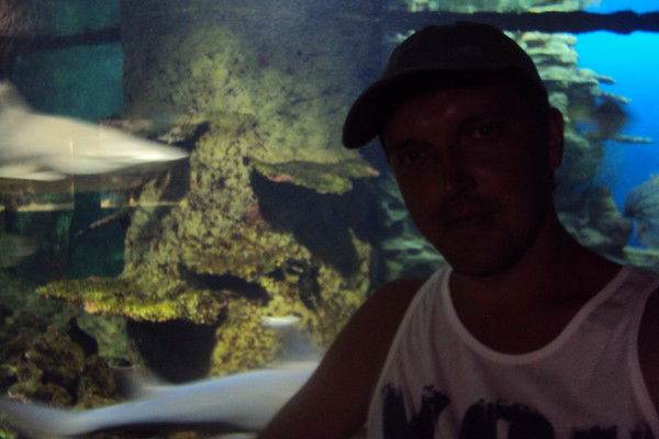 Айдар Ахметшин