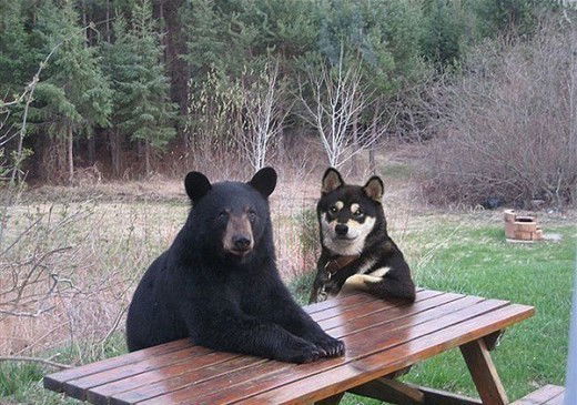 Шаламов Константин