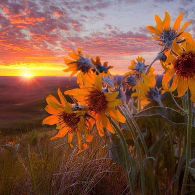 Алия Атагулина