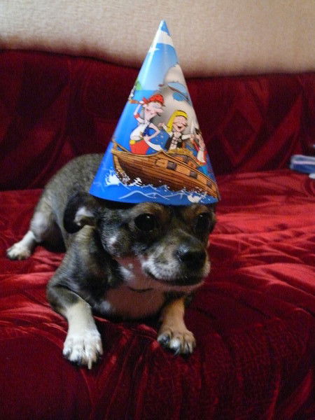 Юлия Витоль