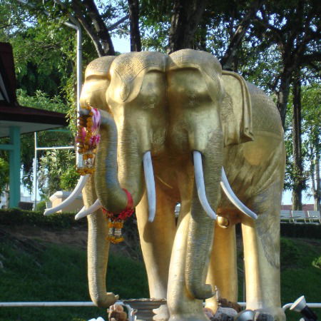 Татьяна Хилькевич