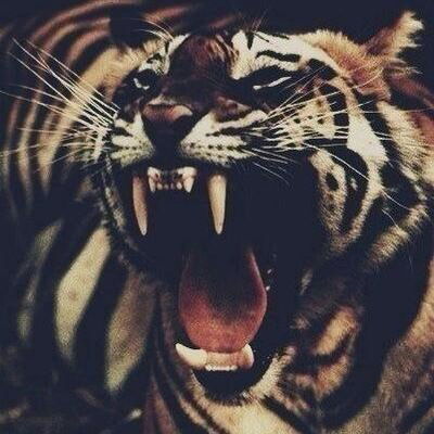 Влад Виноградов