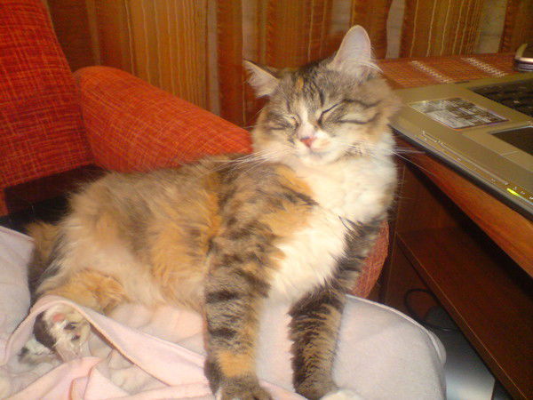 Ирина Гринь