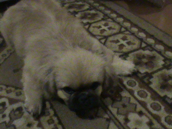 Василий Музыченко