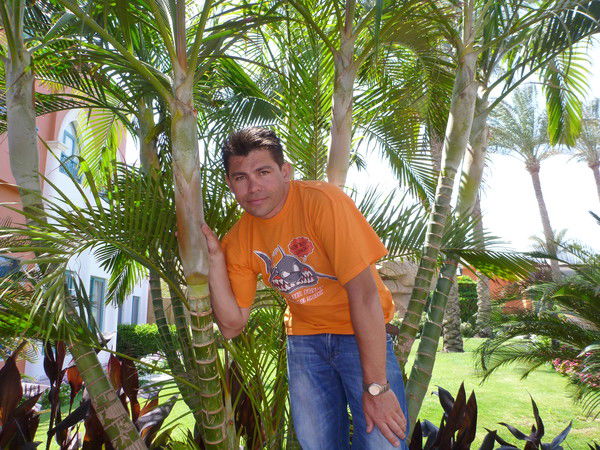 Роман Бодулев