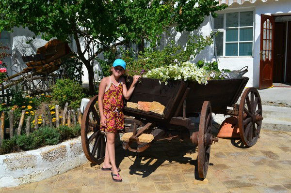 Софья Кулакова