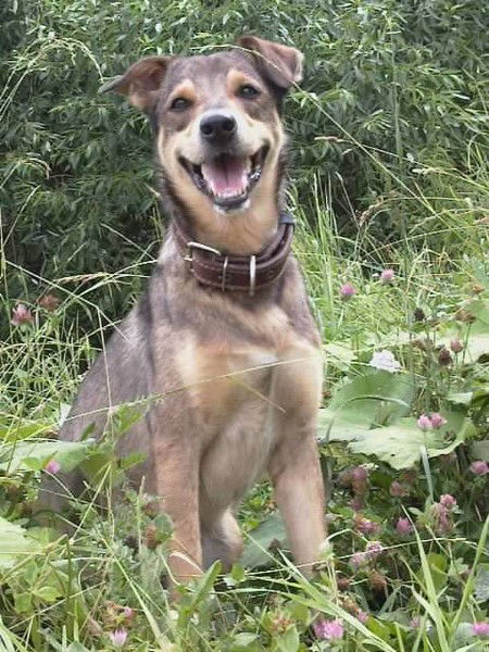 Ольга Лядущенкова