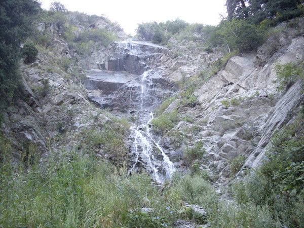 Алексей Дёмин