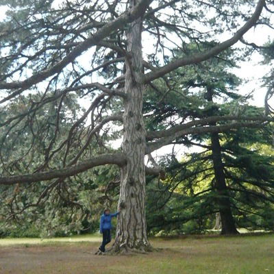 Ольга Баева