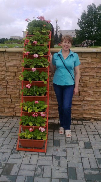 Елена Быстрова