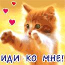 Ирина Василенко