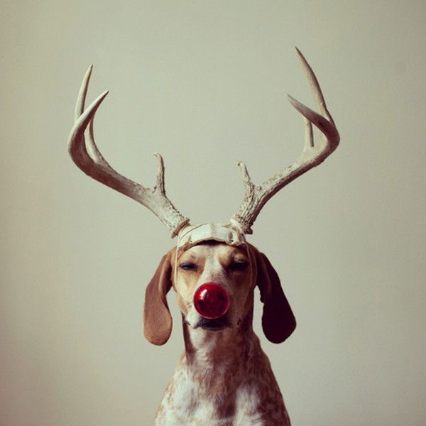 Наташа Кобелева