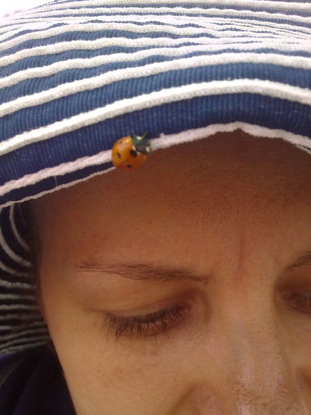 Елена Ерёменко