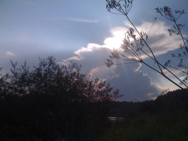 Женя Валкойнен