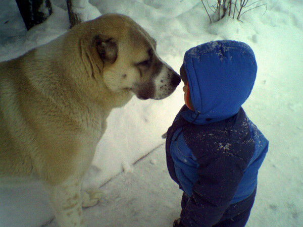 Лилия Борисова