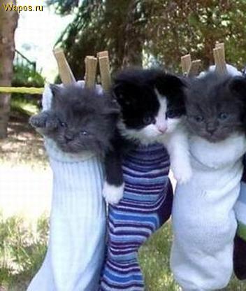 Кристина Агафонова