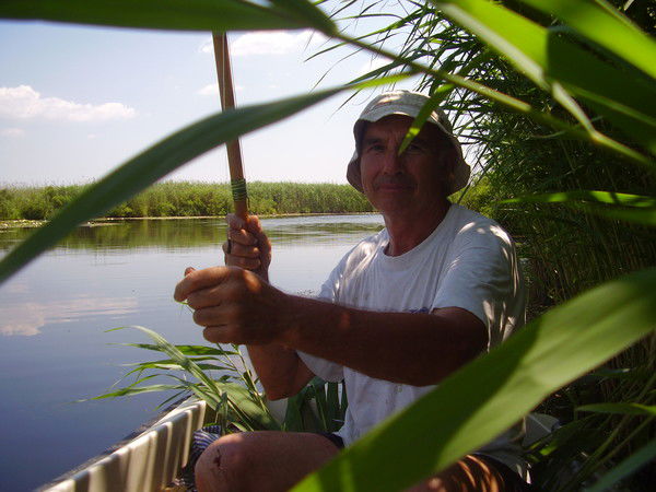 Виктор Заднепряный