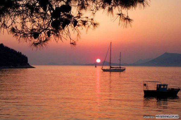 Евгений Мольков